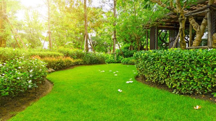 Aménagement de jardin Saint-Brevin-les-Pins